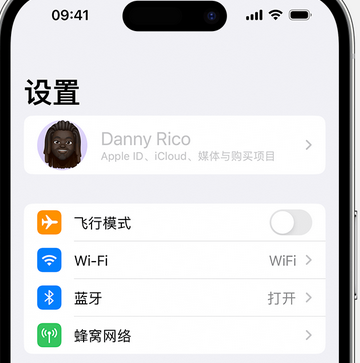 含山appleID维修服务iPhone设置中Apple ID显示为灰色无法使用