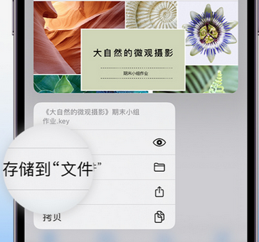 含山apple维修中心分享iPhone文件应用中存储和找到下载文件