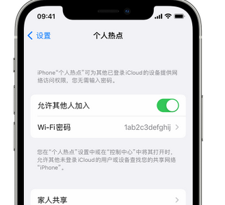 含山apple服务站点分享iPhone上个人热点丢失了怎么办 