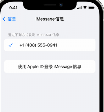 含山apple维修iPhone上无法正常发送iMessage信息 