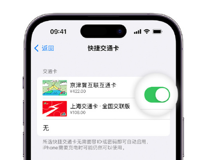 含山apple维修点分享iPhone上更换Apple Pay快捷交通卡手绘卡面 