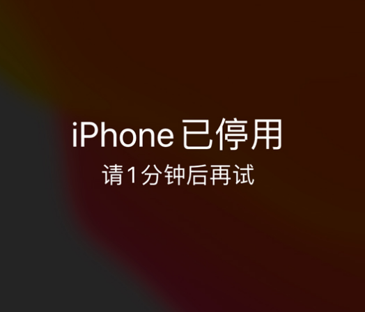 含山苹果手机维修分享:iPhone 显示“不可用”或“已停用”怎么办？还能保留数据吗？ 