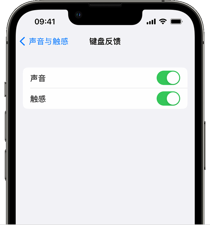 含山苹果14维修店分享如何在 iPhone 14 机型中使用触感键盘 