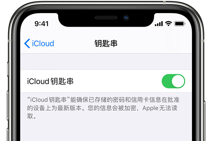 含山苹果手机维修分享在 iPhone 上开启 iCloud 钥匙串之后会储存哪些信息 