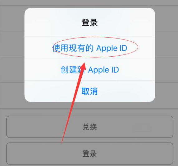 含山苹果手机维修分享两台iPhone设备可以同时登录一个Apple ID吗 