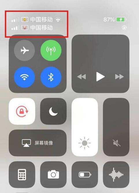含山苹果手机维修分享为 iPhone 12 双卡设置标签 